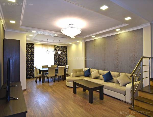 5-senyakanoc-bnakaran-vardzakalutyun-Yerevan-Center