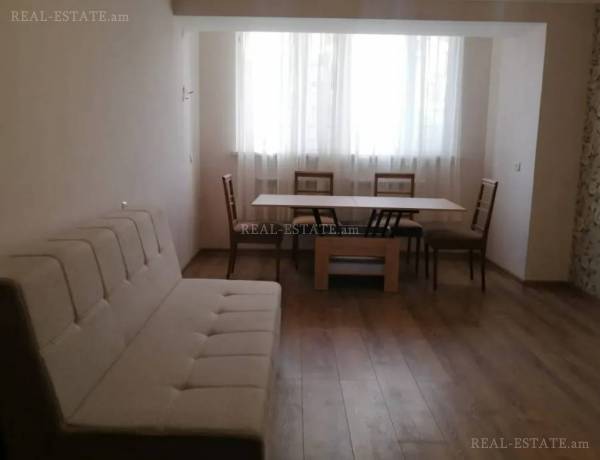 2-senyakanoc-bnakaran-vardzakalutyun-Yerevan-Arabkir