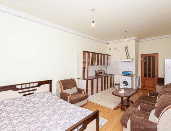 1-senyakanoc-bnakaran-vardzakalutyun-Yerevan-Center