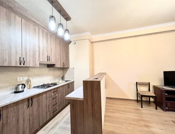 2-senyakanoc-bnakaran-vardzakalutyun-Yerevan-Center