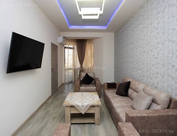 3-senyakanoc-bnakaran-vardzakalutyun-Yerevan-Center