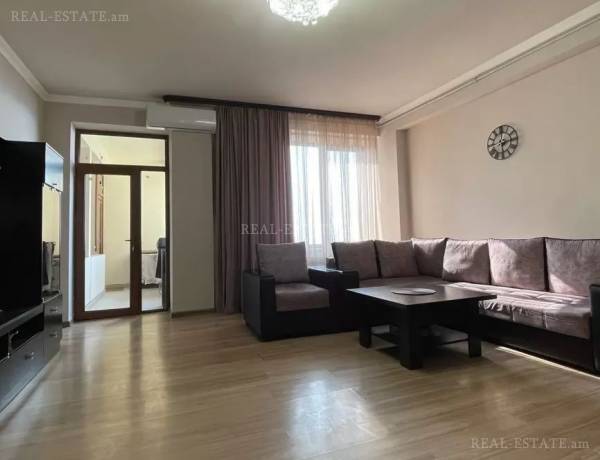 3-senyakanoc-bnakaran-vardzakalutyun-Yerevan-Center
