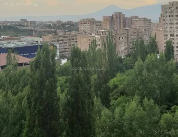 2-senyakanoc-bnakaran-vacharq-Yerevan-Davtashen