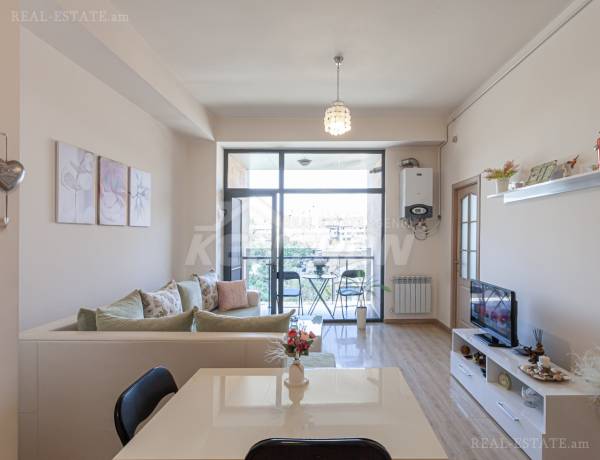 3-senyakanoc-bnakaran-vacharq-Yerevan-Arabkir
