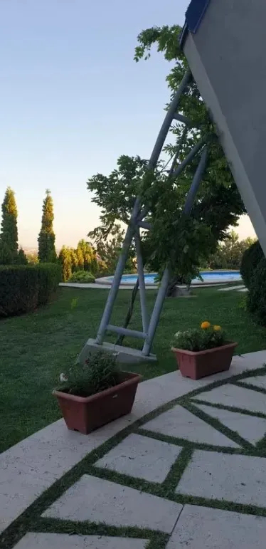 sale-house