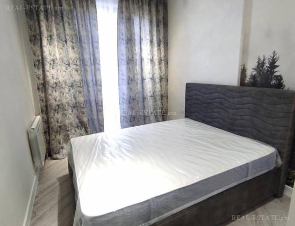 2-senyakanoc-bnakaran-vardzakalutyun-Yerevan-Arabkir