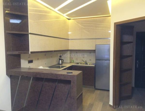 2-senyakanoc-bnakaran-vardzakalutyun-Yerevan-Arabkir