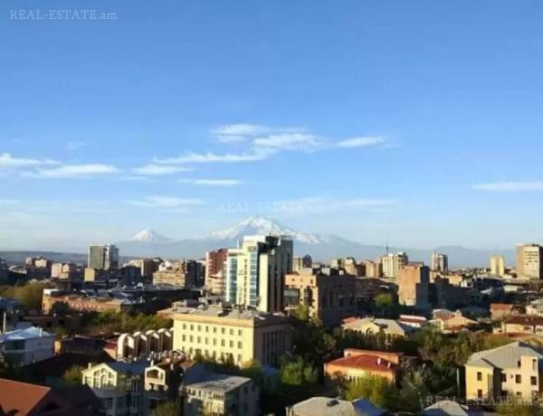 arandznatun-vacharq-Yerevan-Center