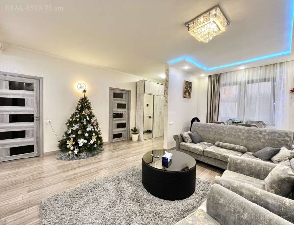 arandznatun-vacharq-Yerevan-Avan