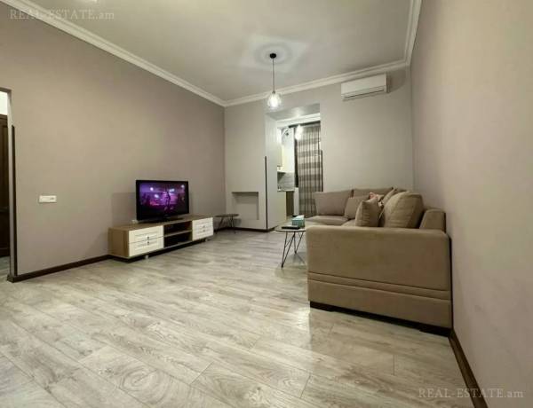 2-senyakanoc-bnakaran-vardzakalutyun-Yerevan-Center
