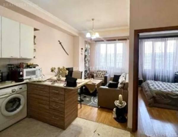 2-senyakanoc-bnakaran-vardzakalutyun-Yerevan-Arabkir
