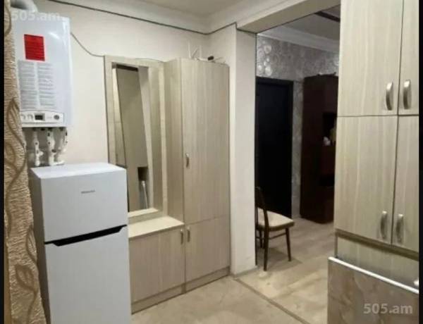 2-senyakanoc-bnakaran-vardzakalutyun-Yerevan-Erebuni