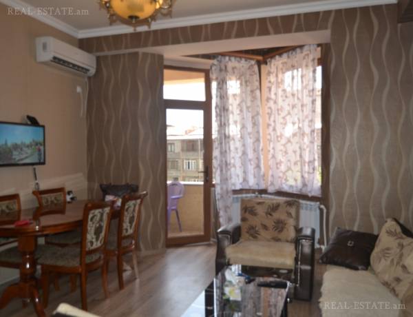 2-senyakanoc-bnakaran-vardzakalutyun-Yerevan-Center