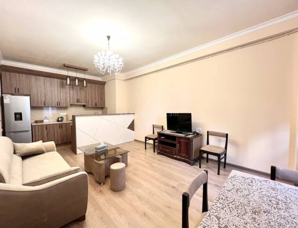 2-senyakanoc-bnakaran-vardzakalutyun-Yerevan-Center