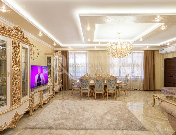3-senyakanoc-bnakaran-vardzakalutyun-Yerevan-Center