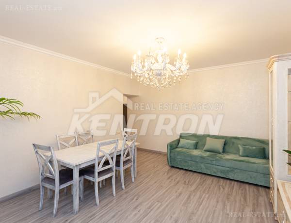 3-senyakanoc-bnakaran-vardzakalutyun-Yerevan-Center