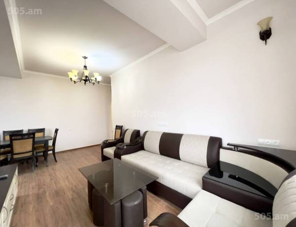 3-senyakanoc-bnakaran-vardzakalutyun-Yerevan-Arabkir