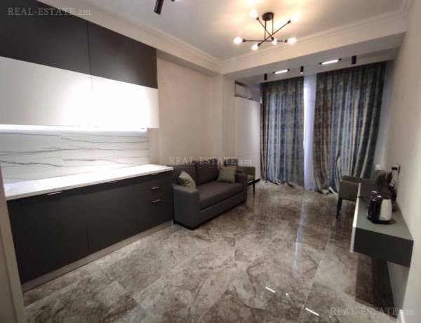 2-senyakanoc-bnakaran-vardzakalutyun-Yerevan-Arabkir